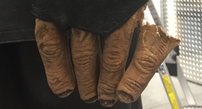 Close up of a costume glove. Four fingers point downward from a black leather sleeve. One finger has partially detatched and is hanging loosely.