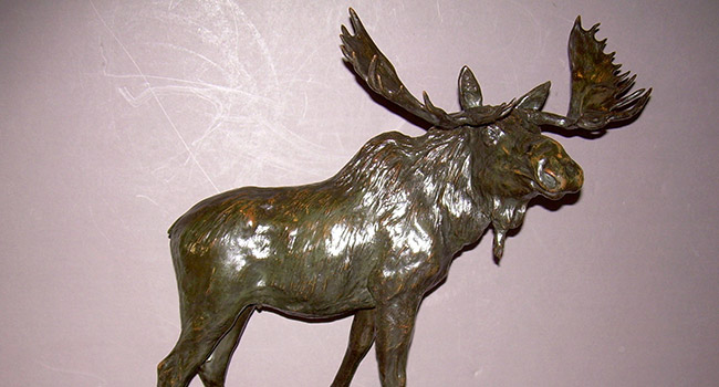 Bull Moose, 1900,  H. Shrady